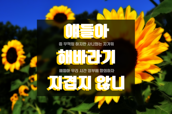 855e2de1352044871e43949f6060f44d_1531748477_3818.png